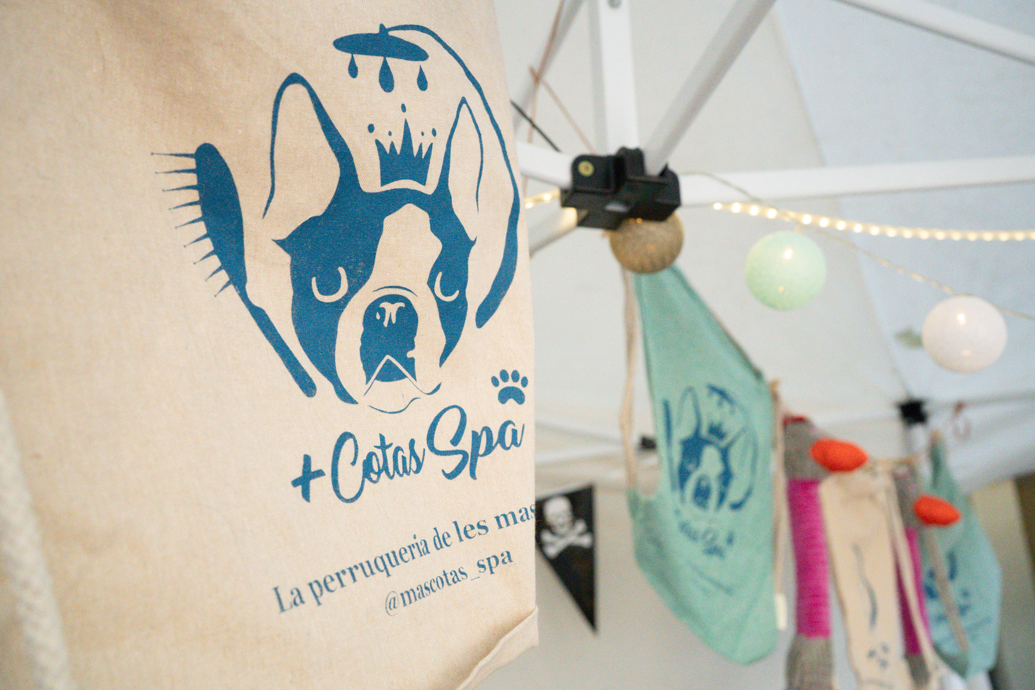 Fotografía Galería 2 18